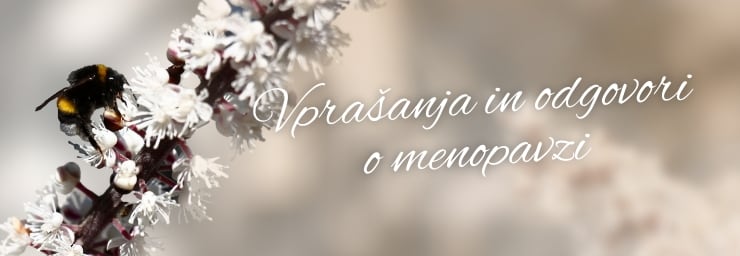 Remifemin - Splošno o menopavzi