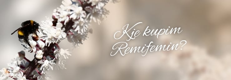 Remifemin - Kje kupim