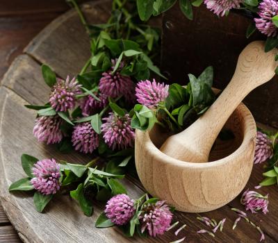 Fitoestrogeni in ščitnica – kratko, jasno, uporabno